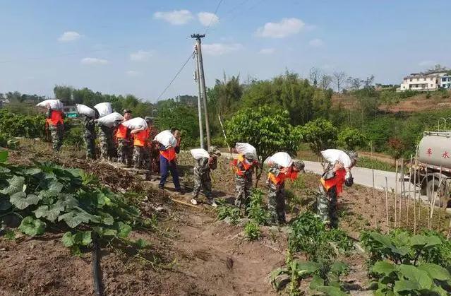 江安縣鐵清鎮組織開展2023年防汛搶險應急演練