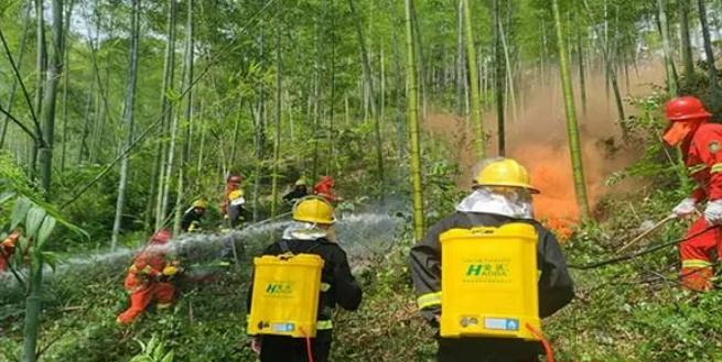 桃江縣松木塘鎮(zhèn)開(kāi)展森林火災(zāi)撲救應(yīng)急演練